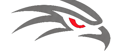 Hawkeye Tech hawk mark